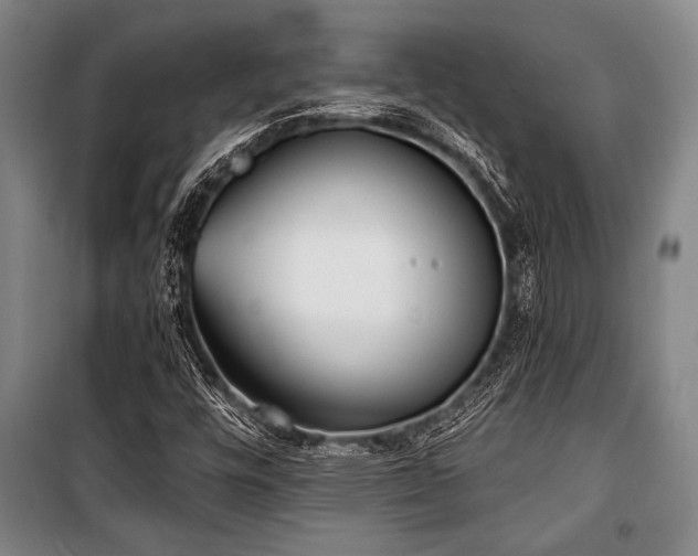 X0000101201448200806271339