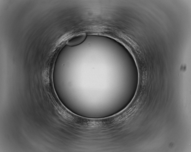 X0000101201451200806271339