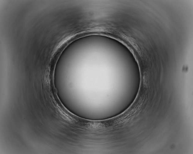 X0000101201452200806271339