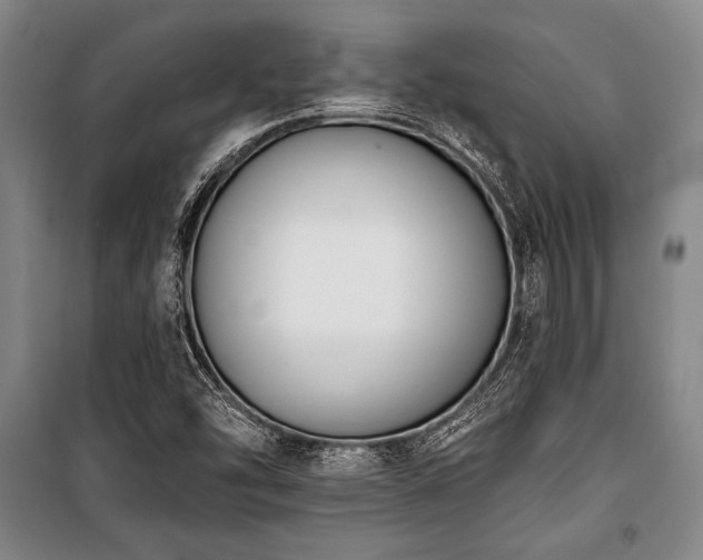 X0000101201454200806271339