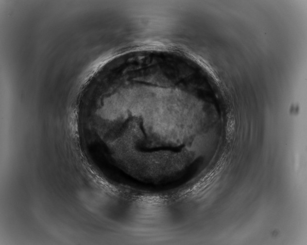 X0000101201455200806271339