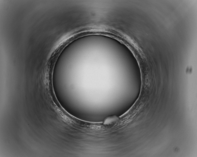 X0000101201456200806271339