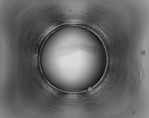 X0000101201457200806271339
