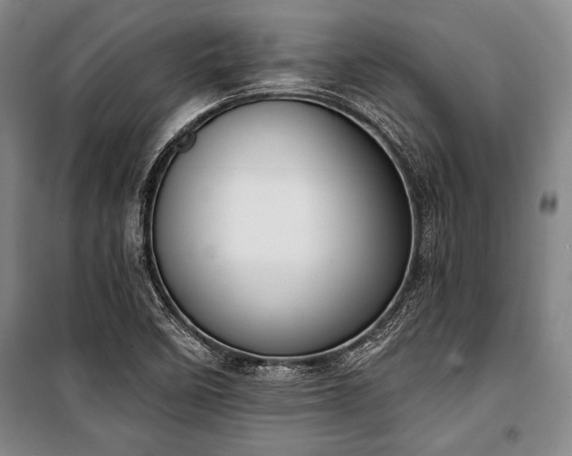 X0000101201458200806271339