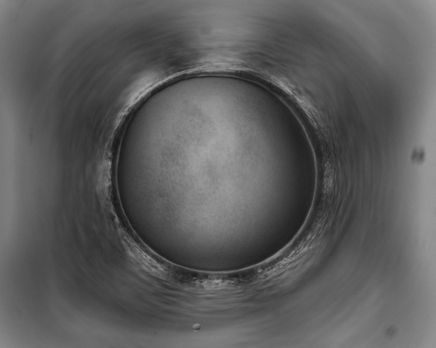 X0000101201459200806271339