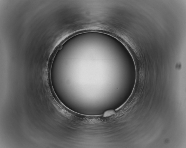X0000101201460200806271339