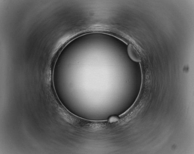X0000101201461200806271339