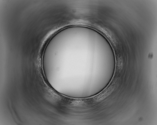 X0000101201462200806271339