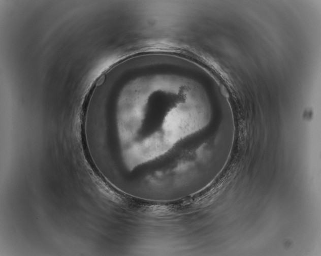 X0000101201463200806271339
