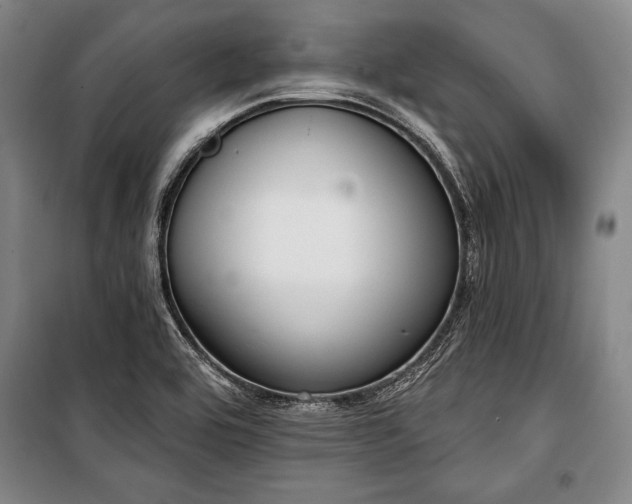 X0000101201464200806271339