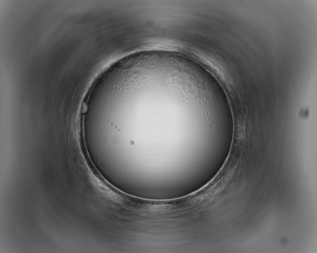 X0000101201471200806271339