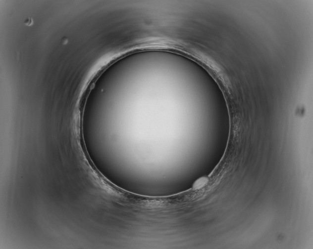 X0000101201472200806271339