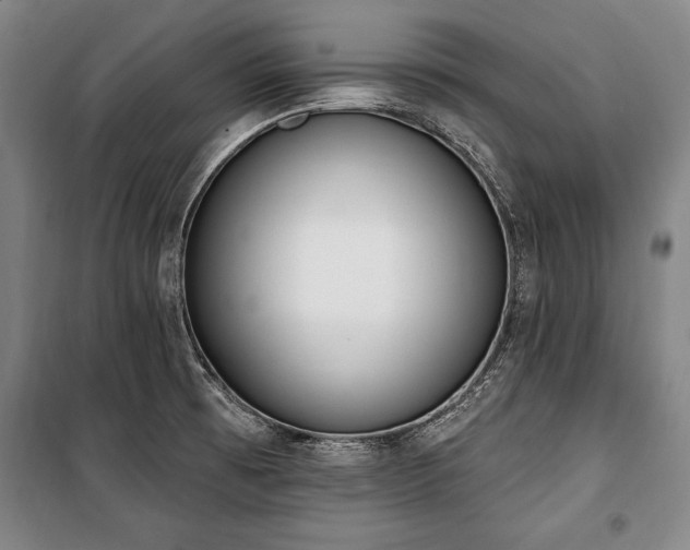 X0000101201473200806271339
