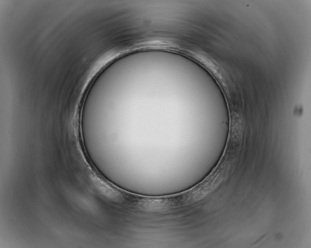 X0000101201474200806271339