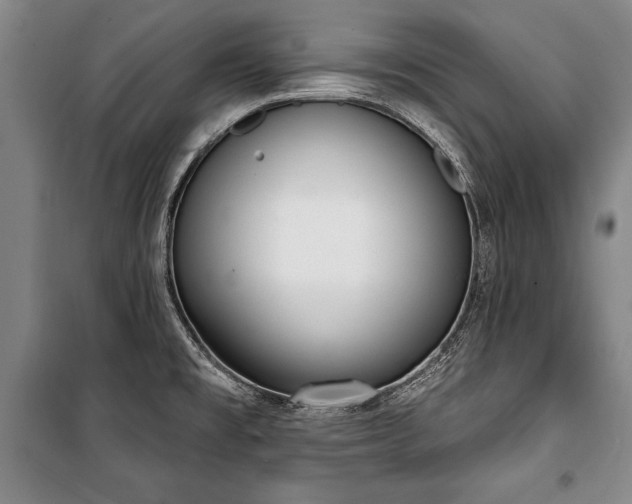 X0000101201477200806271339
