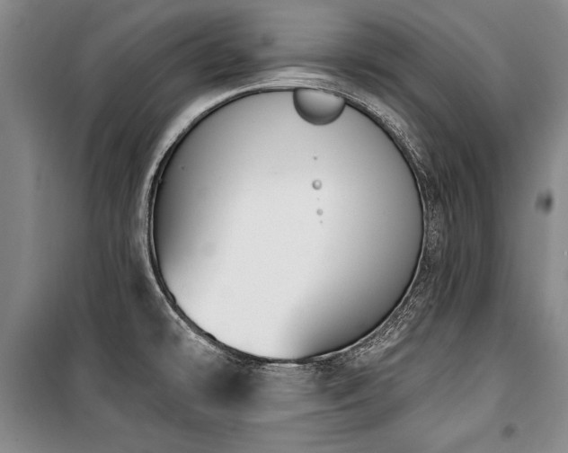 X0000101201478200806271339