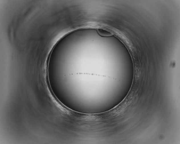 X0000101201479200806271339