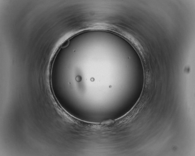 X0000101201480200806271339