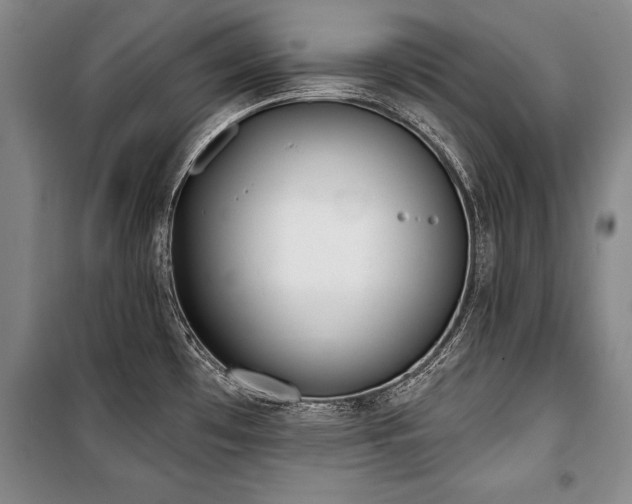 X0000101201481200806271339
