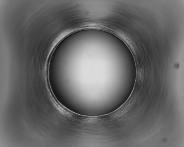 X0000101201482200806271339