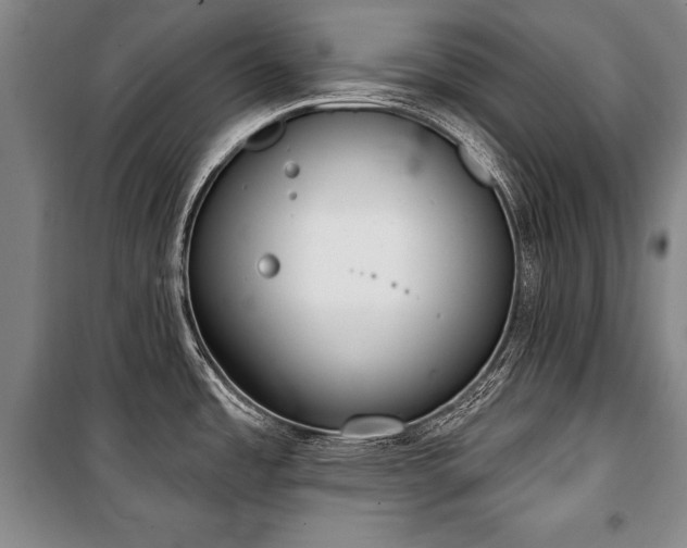 X0000101201485200806271339