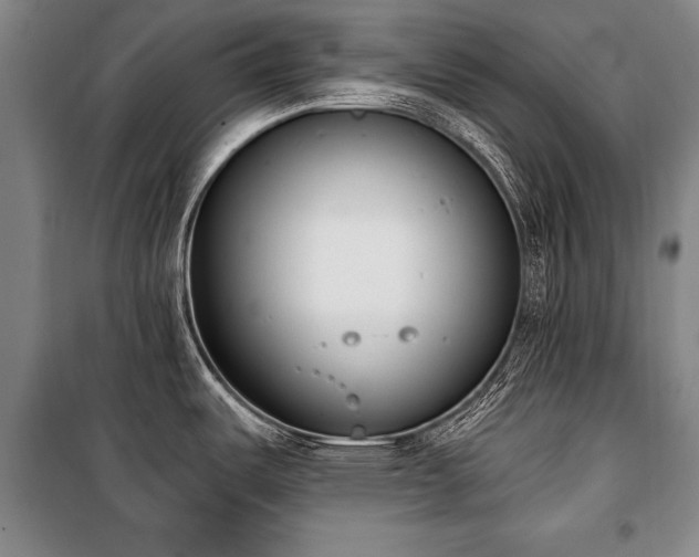 X0000101201487200806271339