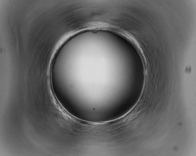 X0000101201488200806271339