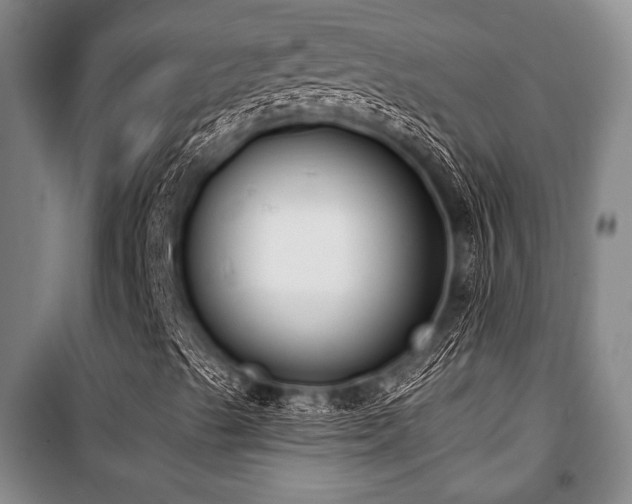 X0000101201489200806271338