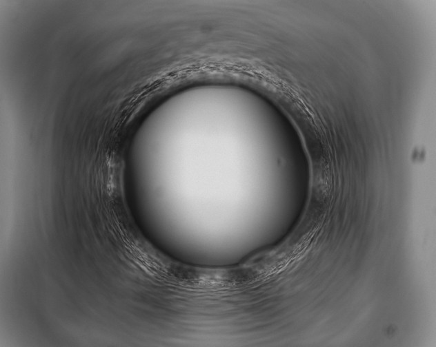 X0000101201490200806271338