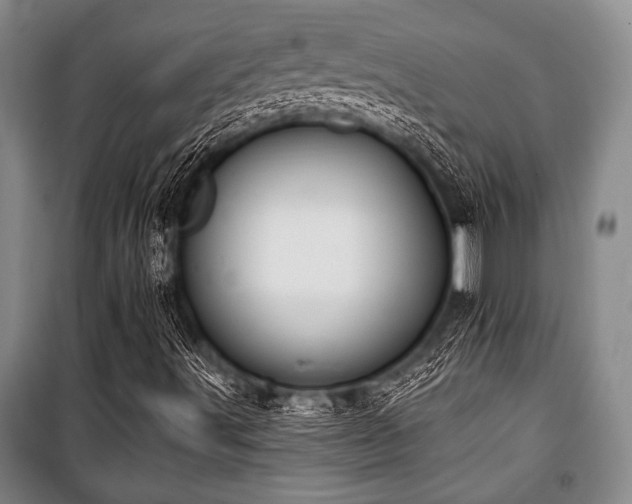 X0000101201491200806271338