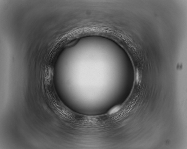 X0000101201492200806271338