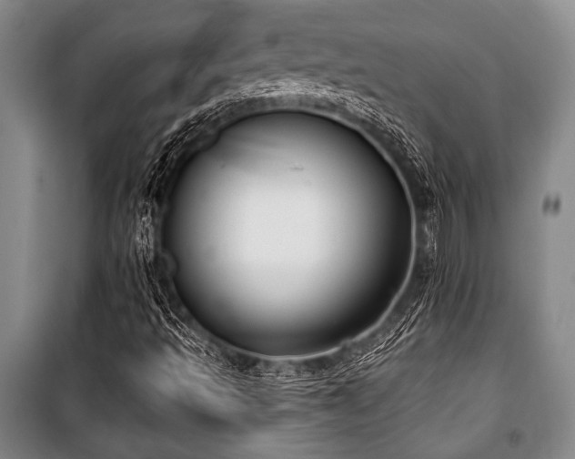 X0000101201493200806271338