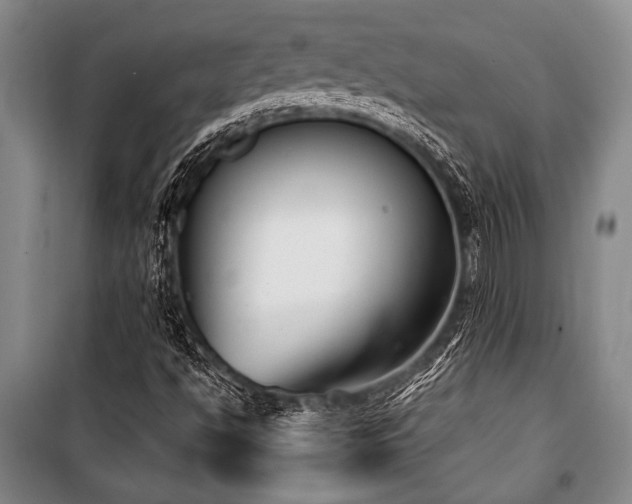 X0000101201494200806271338