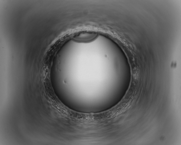 X0000101201495200806271338