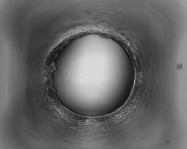 X0000101201496200806271338