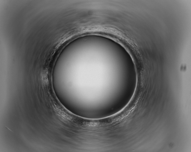 X0000101201497200806271338