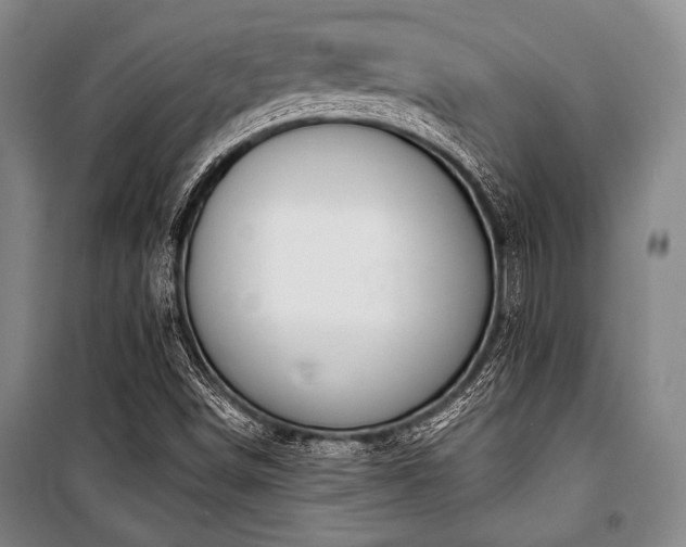 X0000101201498200806271338