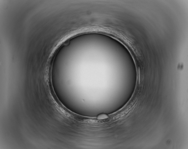 X0000101201500200806271338