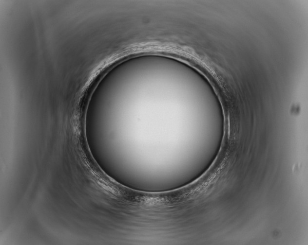 X0000101201501200806271338