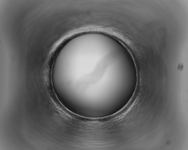 X0000101201502200806271338