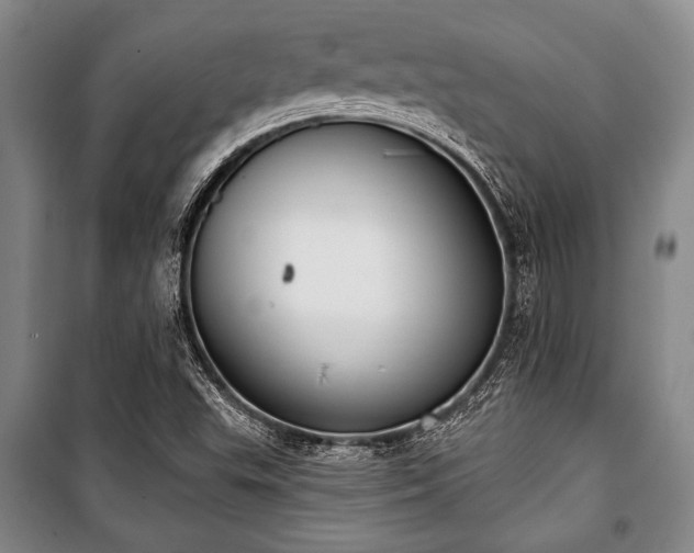 X0000101201503200806271338
