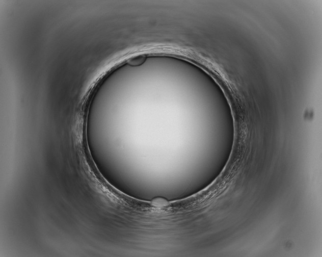 X0000101201504200806271338