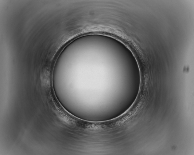 X0000101201505200806271338