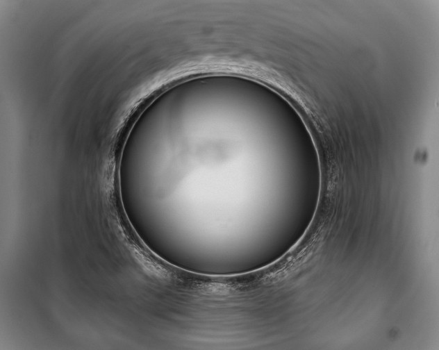 X0000101201507200806271338