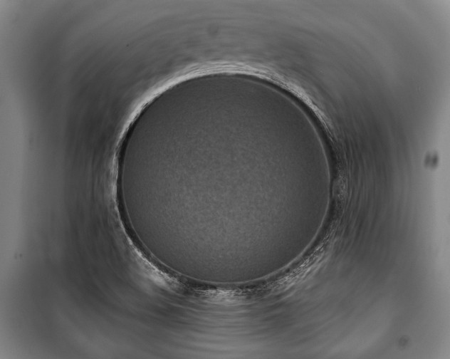 X0000101201508200806271338