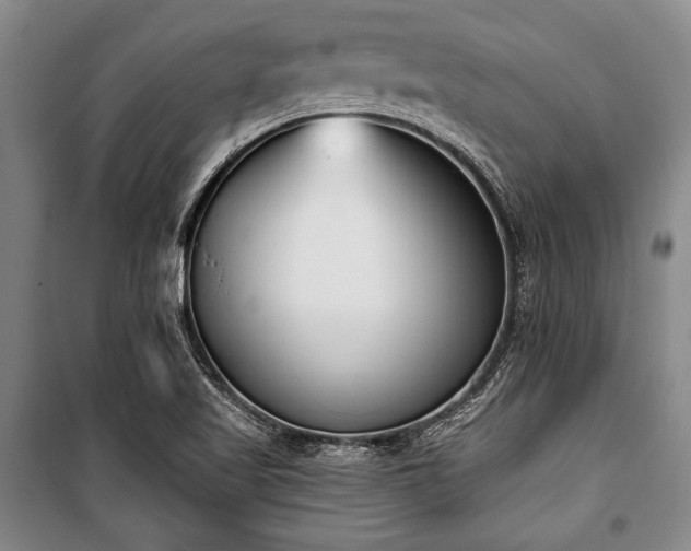 X0000101201509200806271338