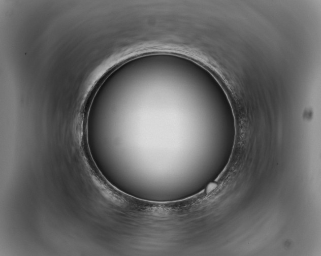 X0000101201511200806271338