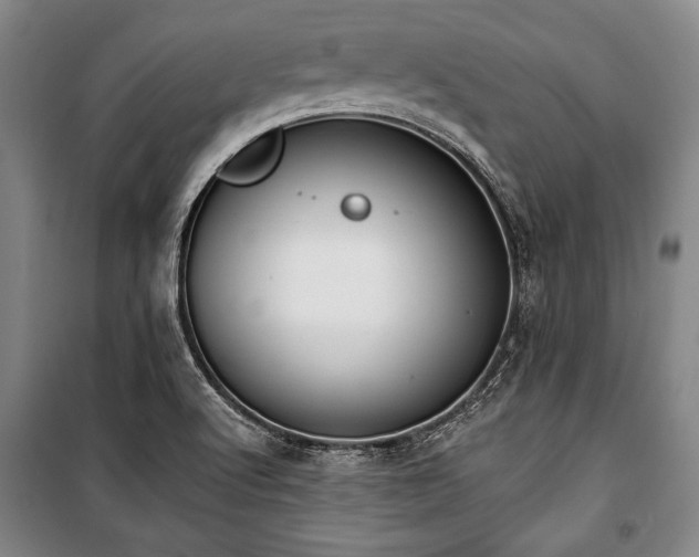 X0000101201512200806271338