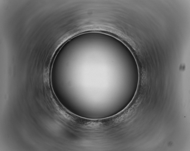 X0000101201513200806271338