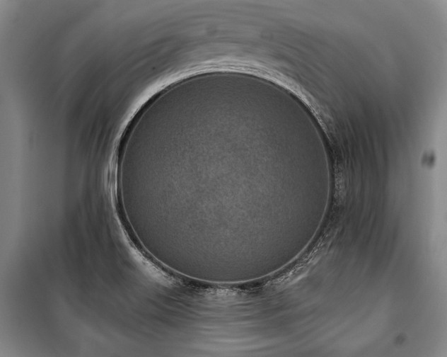 X0000101201515200806271338